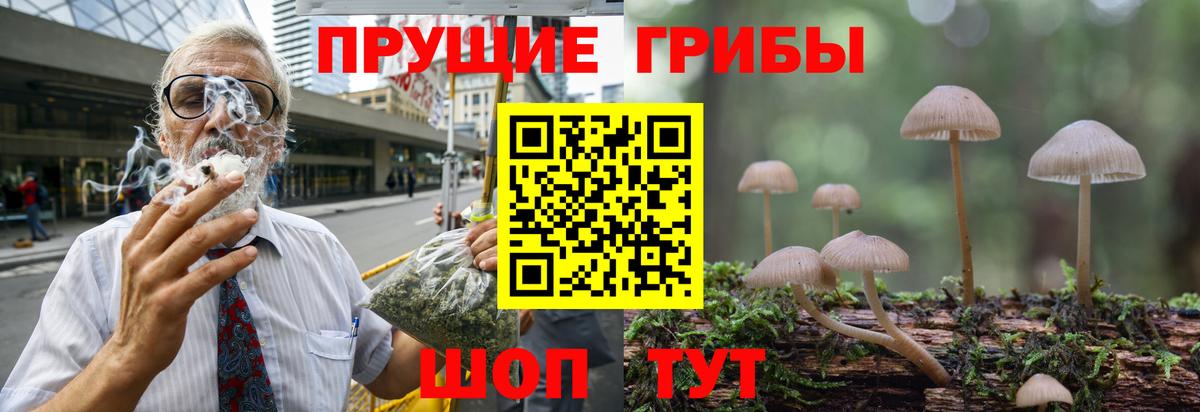 как найти закладки  Вход с VPN  Галлюциногенные грибы MAGIC MUSHROOMS  Мурманск  Галлюциногенные грибы Psilocybine cubensis 